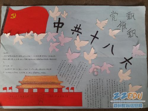 小太阳鹦鹉放飞绳多少米合适?-专业高效的问答类网站
